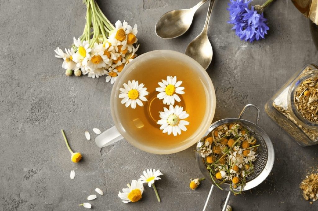 Trà hoa cúc mua ở đâu?