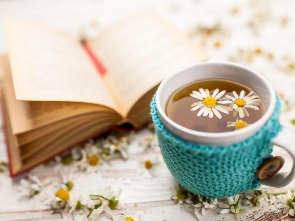 trà hoa cúc