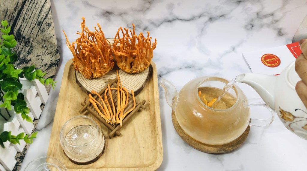 Trà đông trùng hạ thảo - Tiên dược cho sức khỏe và làm đẹp