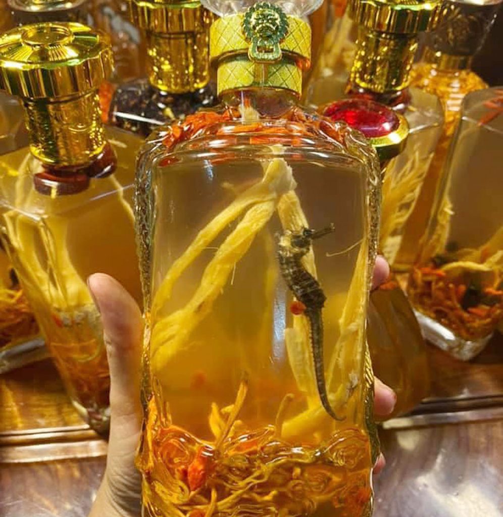 Bỏ túi ngay bí quyết ngâm rượu thuốc chuẩn Đông Y 1