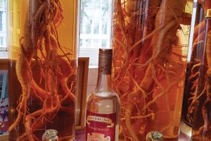 Một số phương pháp ngâm rượu đinh lăng tốt cho sức khỏe 1